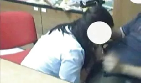 Kucing domestik Carmen McCarthy mematuhi bokep indo terbaru online pemiliknya