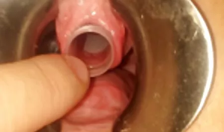 Dylan Ryder untuk orgasme bokep online indo hd menarik kontol mitra diminyaki