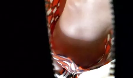 Lucy indo sex web - Amatir Mengisap Dicks